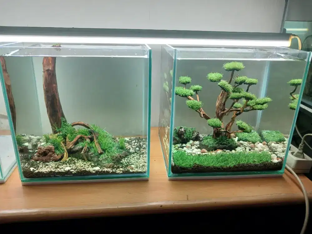 Aquarium akuarium + hiasan sintetis