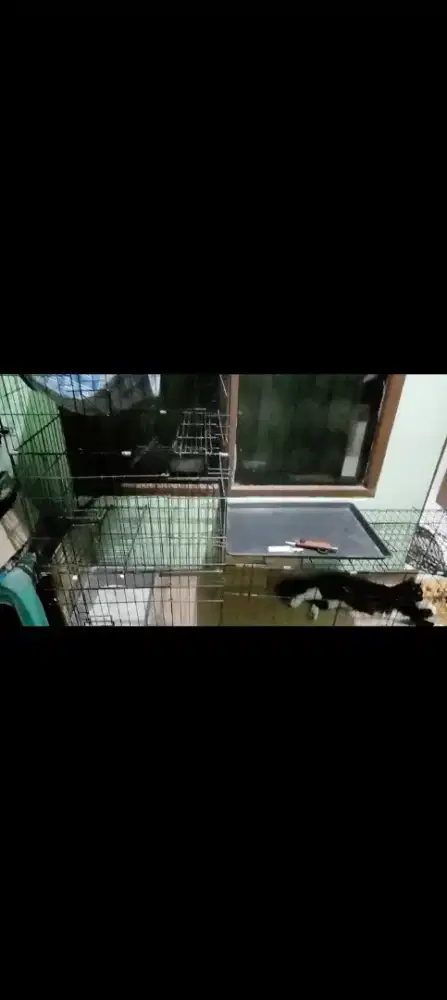 Di jual kandang kucing later L