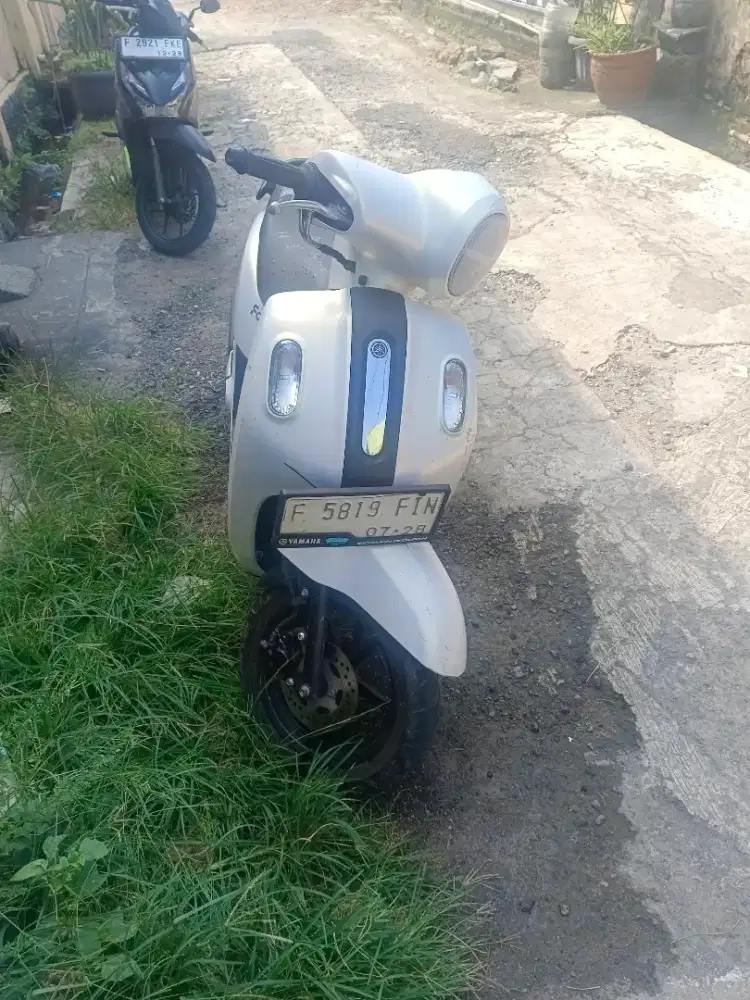 Fazzio 2023 ss lengkap pajak hidup panjang