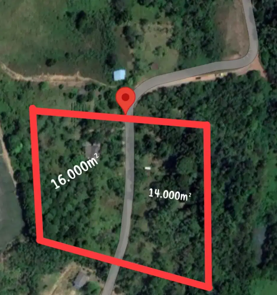 DIJUAL CEPAT TANAH KEBUN BERSERTIFIKAT
