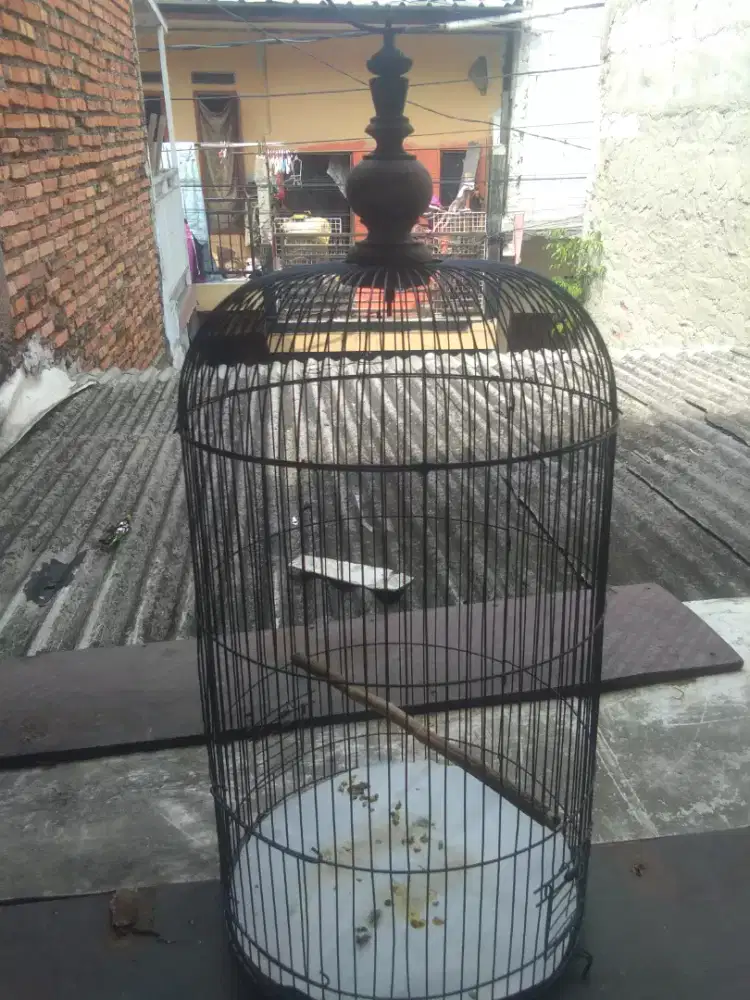 Kandang burung yang mau ayo