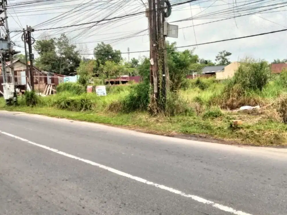 Tanah Di Jual Jambi Tanpa Perantara Area Kota Jambi