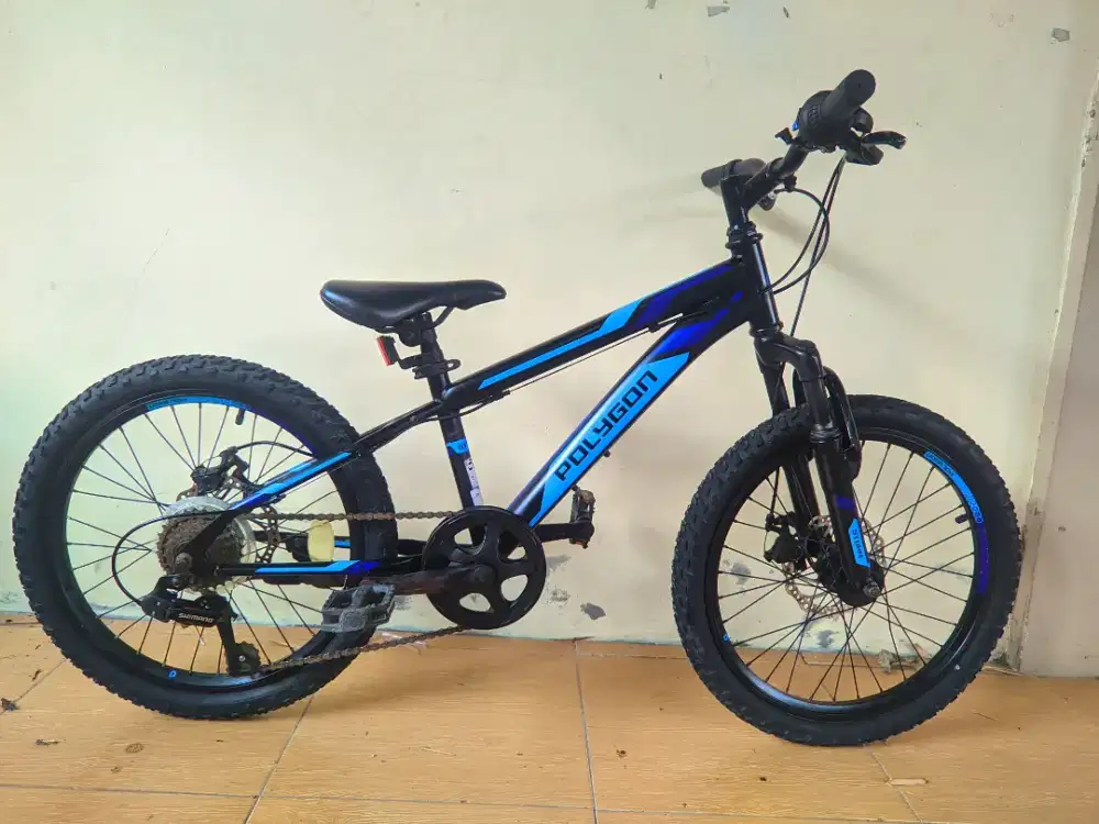 sepeda MTB Polygon Strom ukuran 20 untuk anak