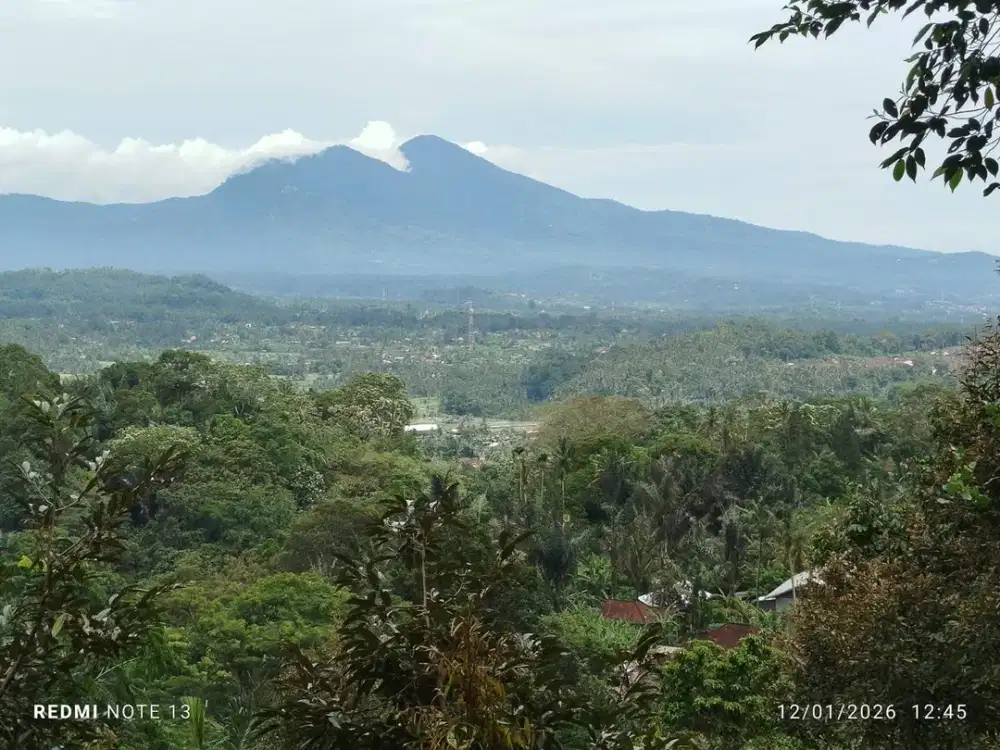 Dijual Tanah Pertanian View Gunung Agung di Desa Sibetan, Karangasem.
