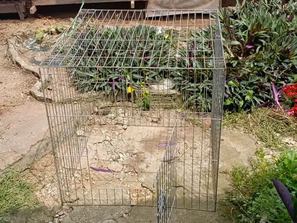 Kandang Ayam Umbaran Galvanis 80x80x80Cm, HARGA PAS