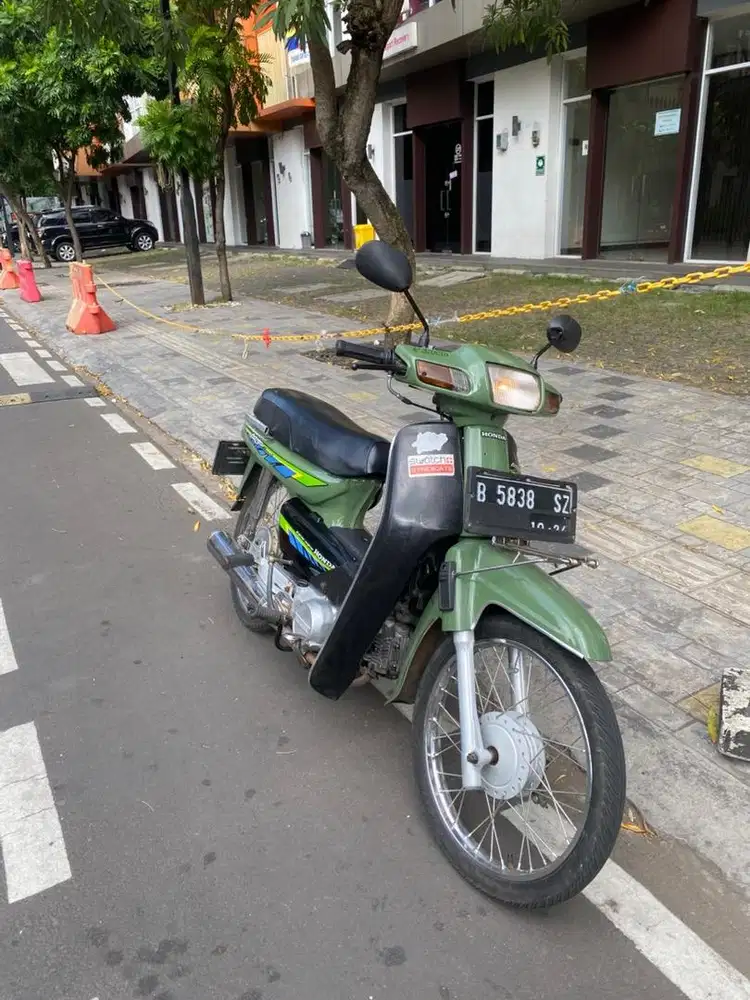 Astrea bulus clasican 94
