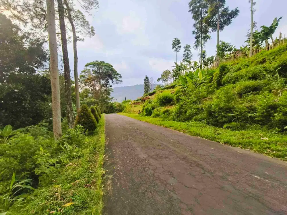 Tanah pekarangan tepi jln utama kemuning ngargoyoso