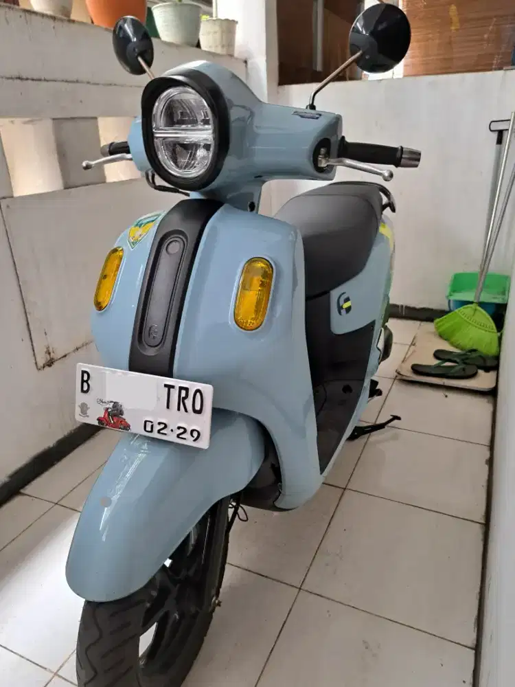 Fazzio Neo 2024
