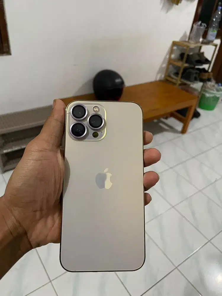 Iphone 13 promax