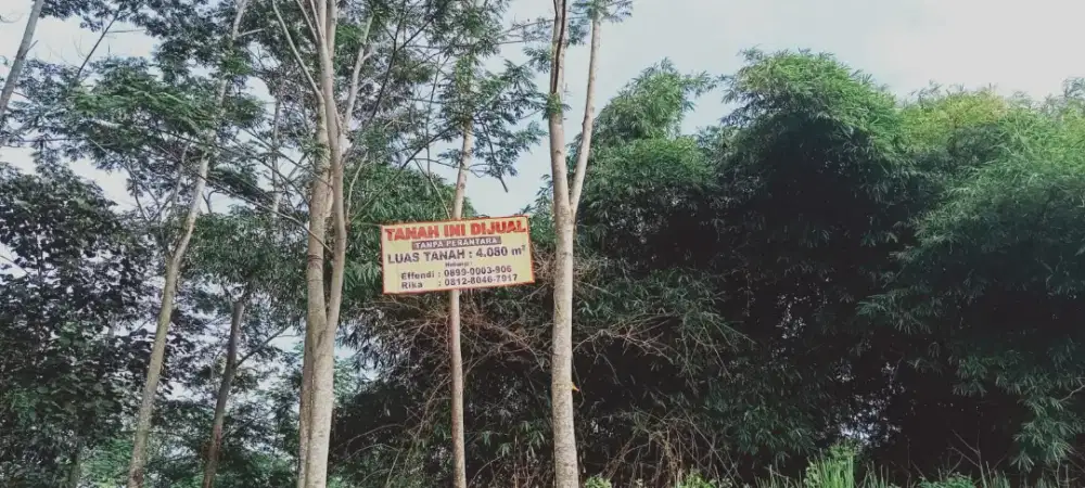Dijual Tanah kebun 4080m2 di kampung purwakarta -akses mobil