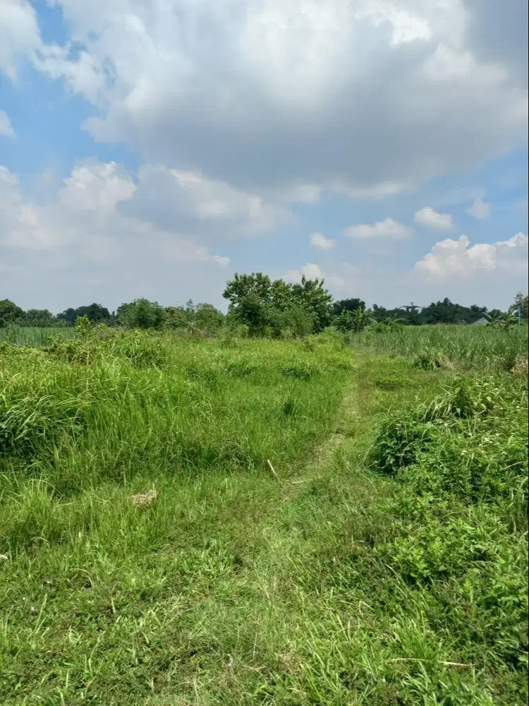 Jual tanah murah