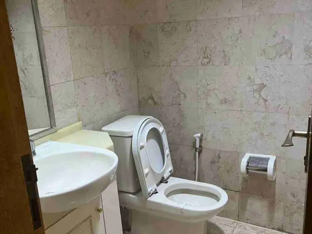 JUAL APARTEMEN PARK ROYALE EXECUTIVE