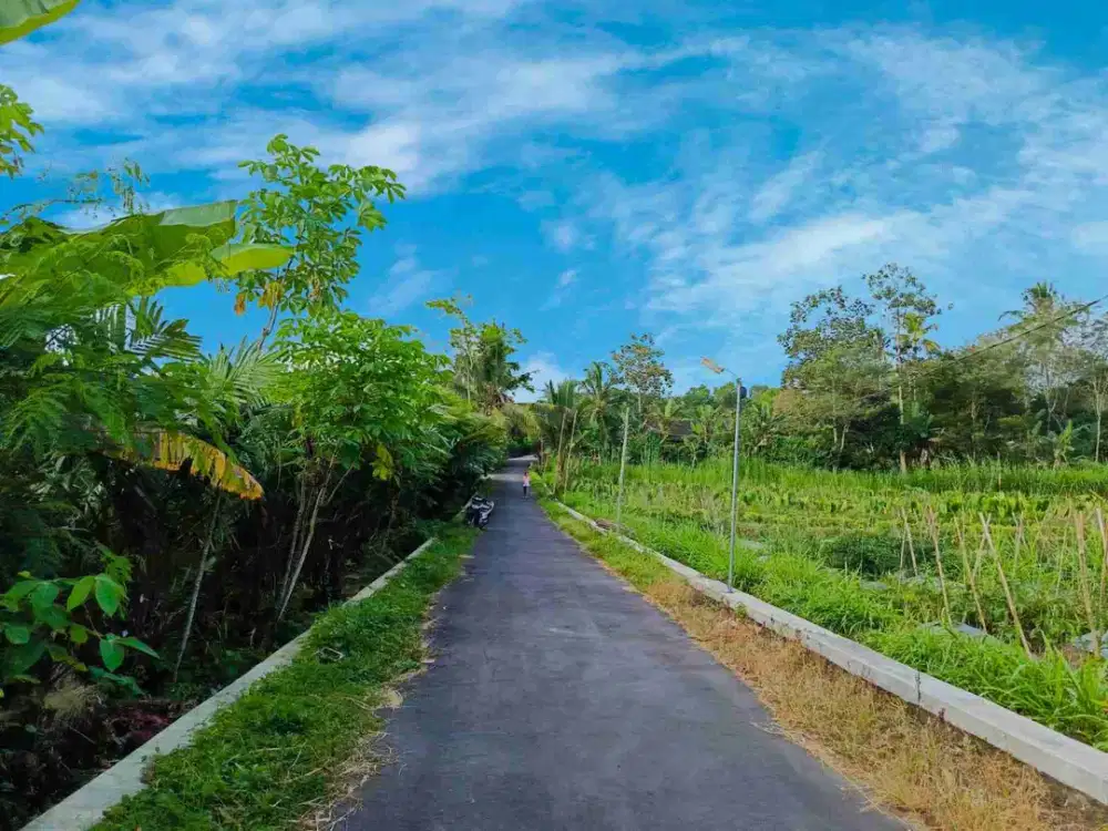 Tanah Murah mangku Jalan / tepi Jalan di Wonokerto Turi Sleman Yogyakarta