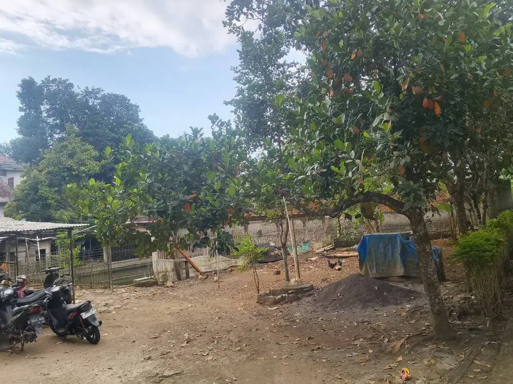 Jual Tanah dan rumah