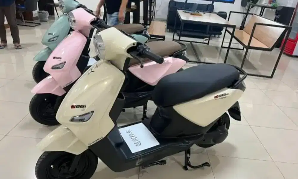 Sepeda listrik uwinfly D66I NEW