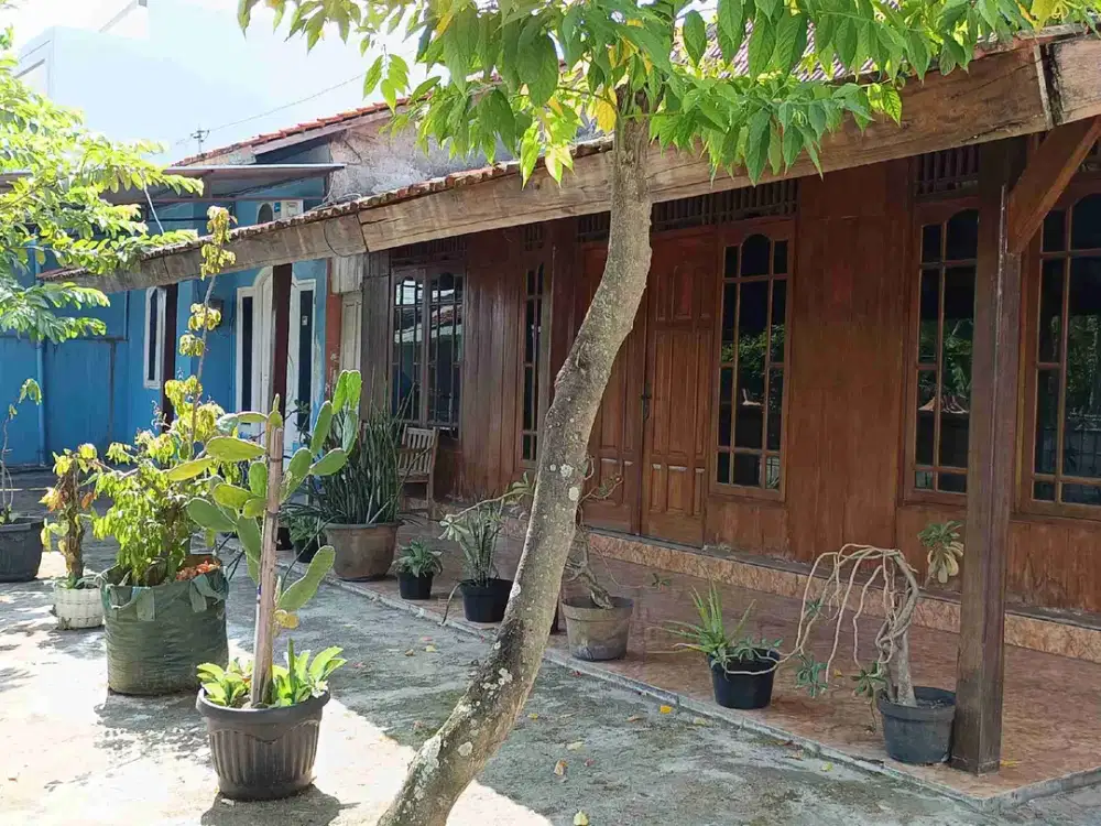 Dijual Rumah Bonus Gazebo kayu di jl. Sapta Prasetyo Semarang