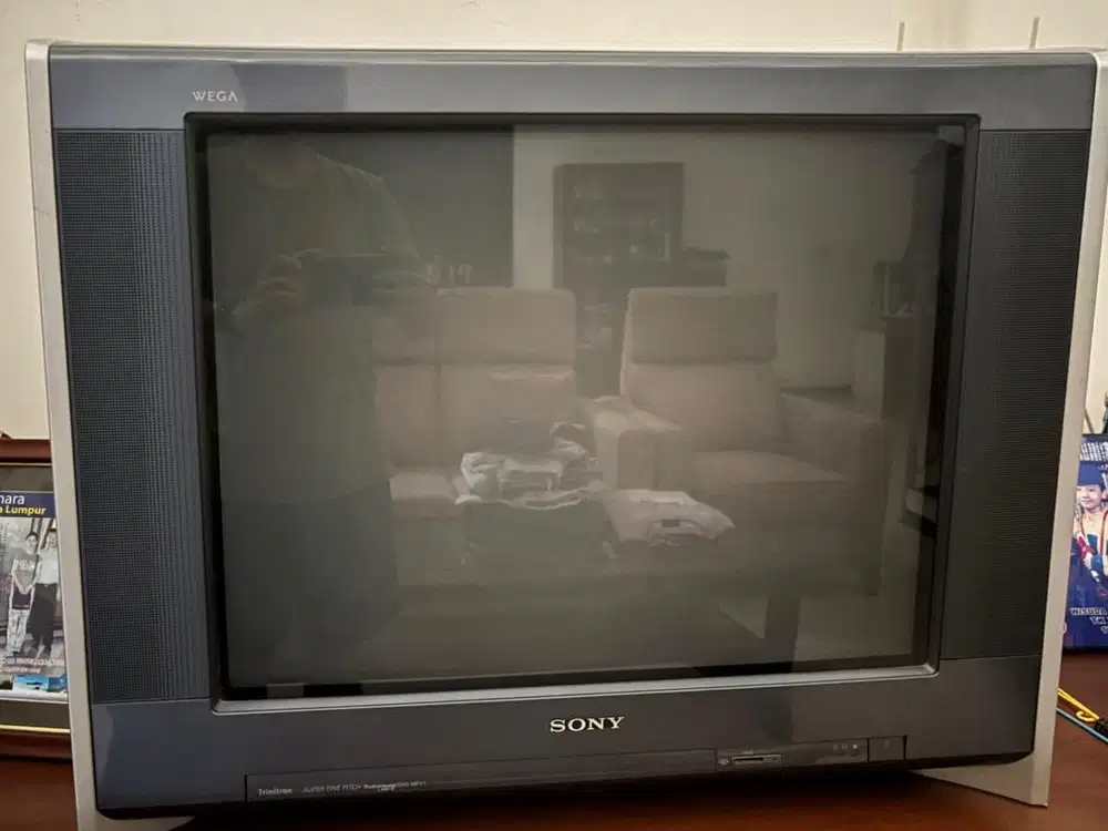 TV Sony Wega 29