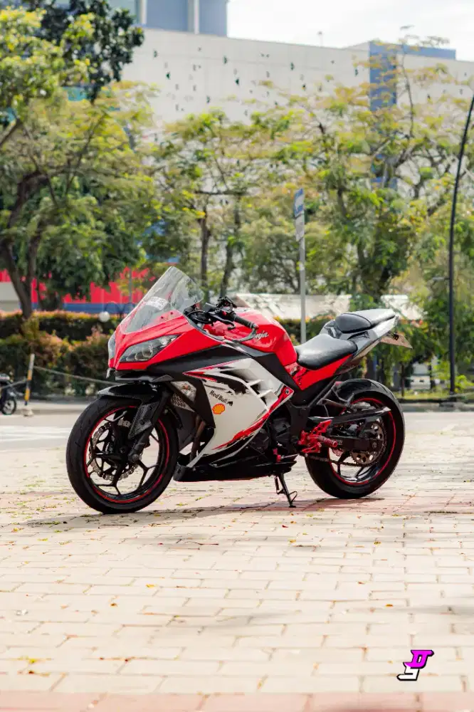 Ninja 250 2013 ABS SE