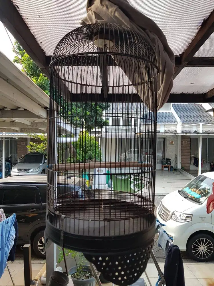 Dijual Cepat kandang Burung Besi ada 2 kandang burung besi