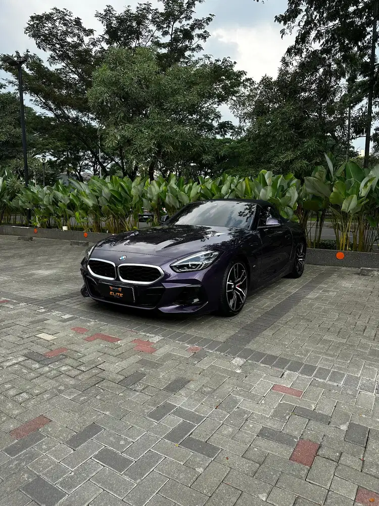 BMW Z4 sDrive30i AT 2023