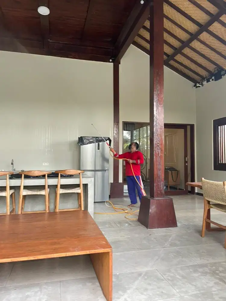 Anti rayap - termite control
