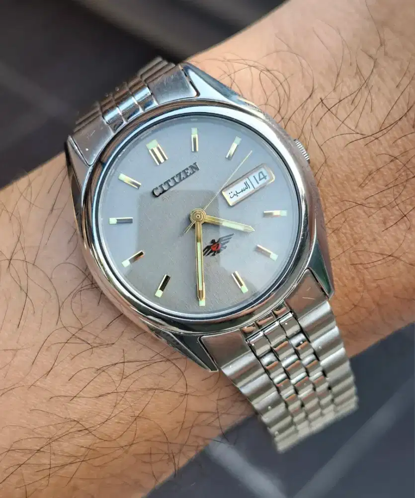 Citizen eagle grey dial