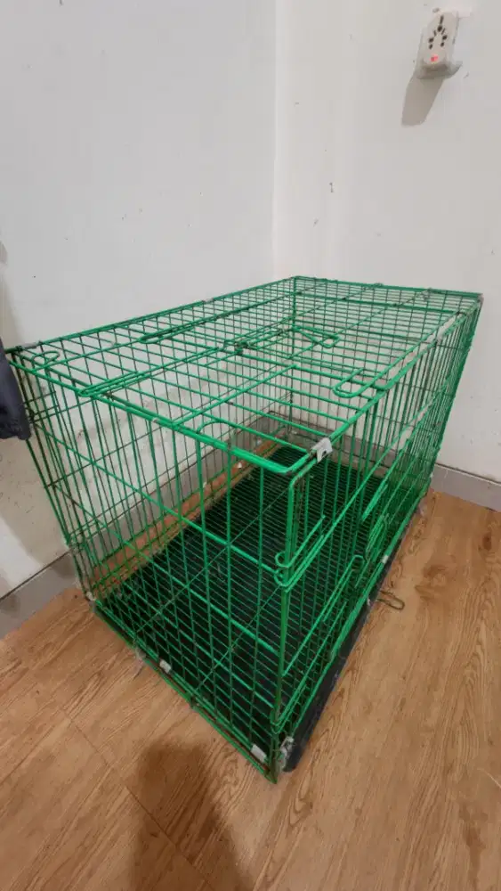 Kandang Kuclng Lipat