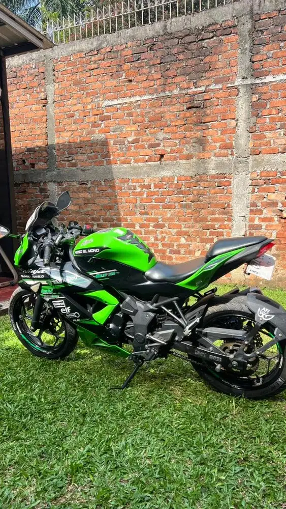 Kawasaki Ninja 250 SL Mono/RR Mono