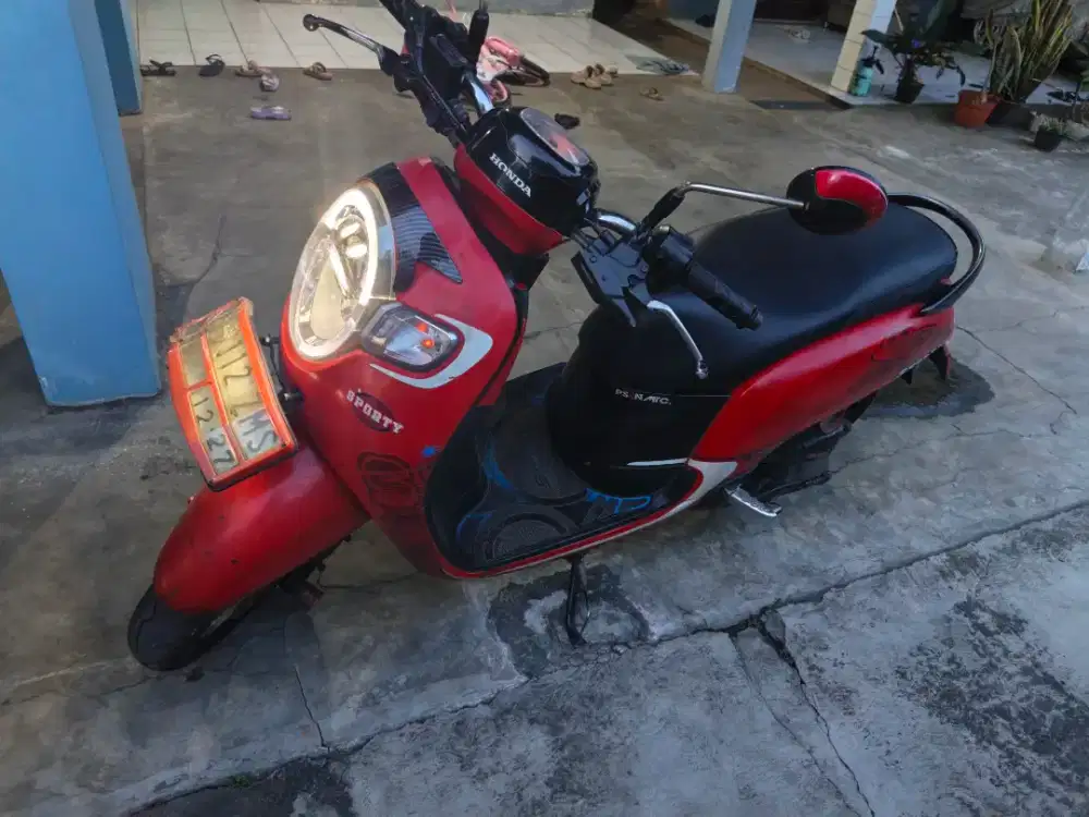 Scoopy pajak hidup