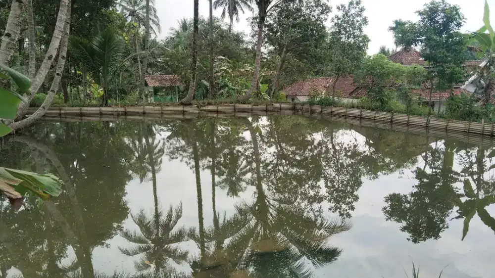 Kolam Ikan (Tasikmalaya)
