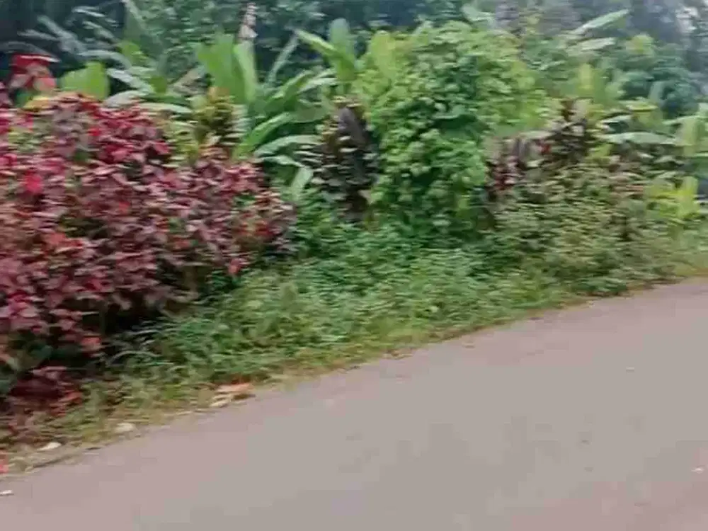 dijual cepat tanah kosong strategis pinggir jalan desa padurenan
