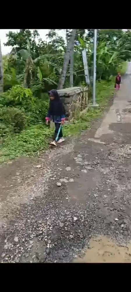 Sawah kebun lahan produktif
