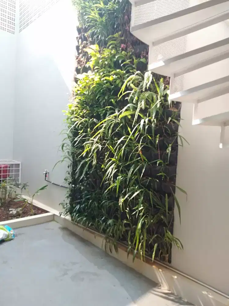 Pohon vertikal garden