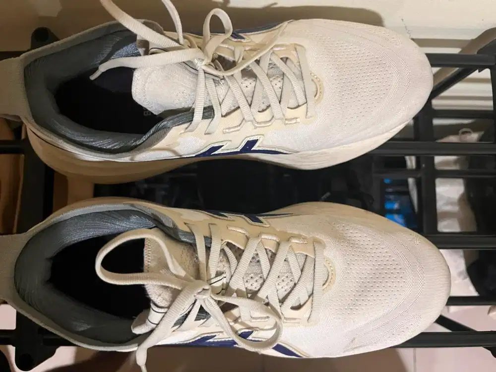 Asics Gel Nimbus 25