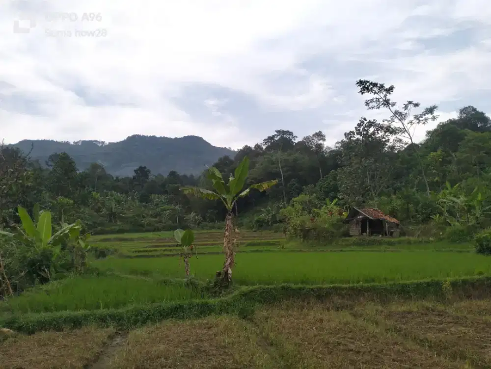 jual tanah pinggir sungai