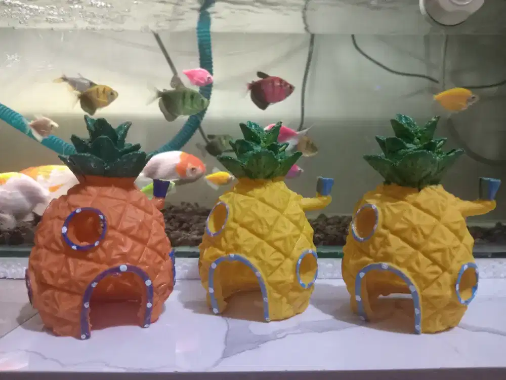 Hiasan aquarium ikan hias