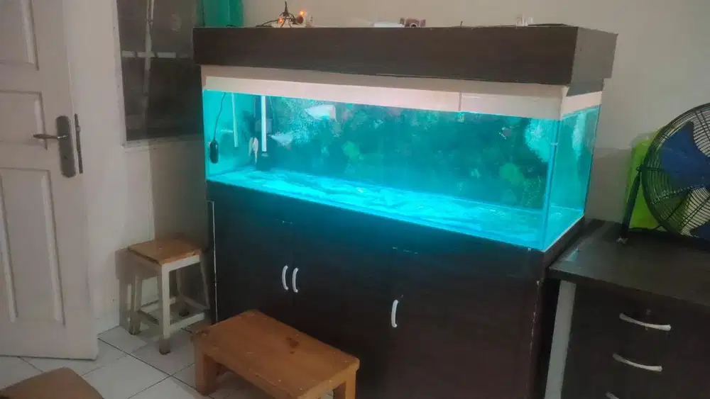 Akuarium Ikan Arwarna