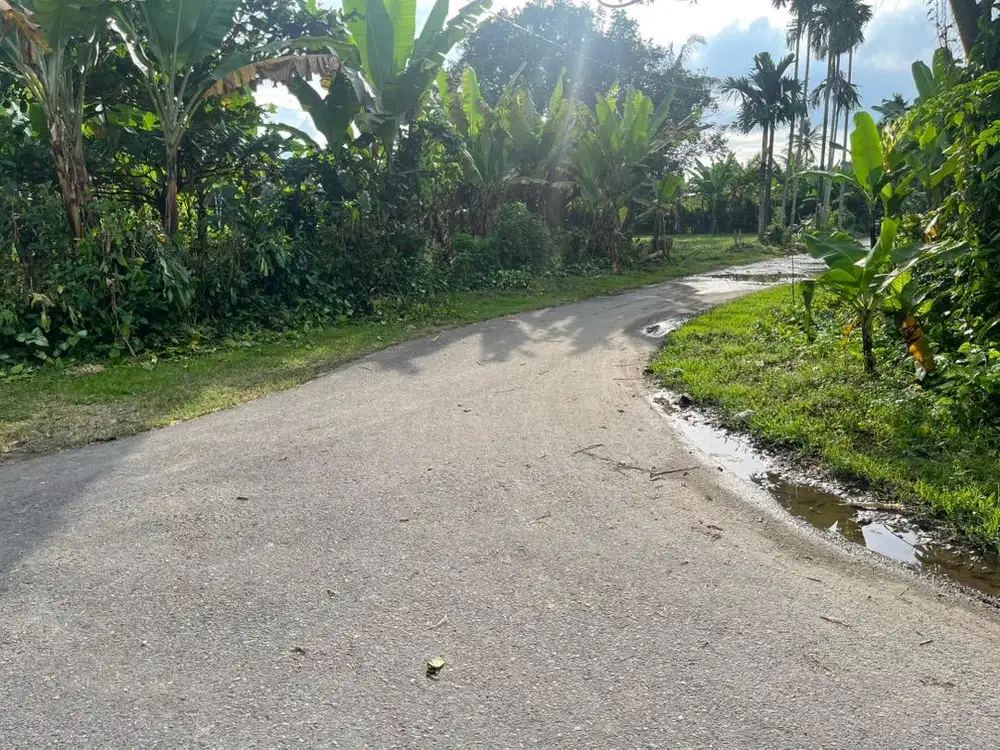 Tanah ladang / berternak
