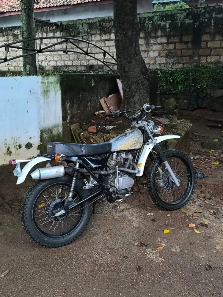 Trail Vintage Basic Gl up tiger