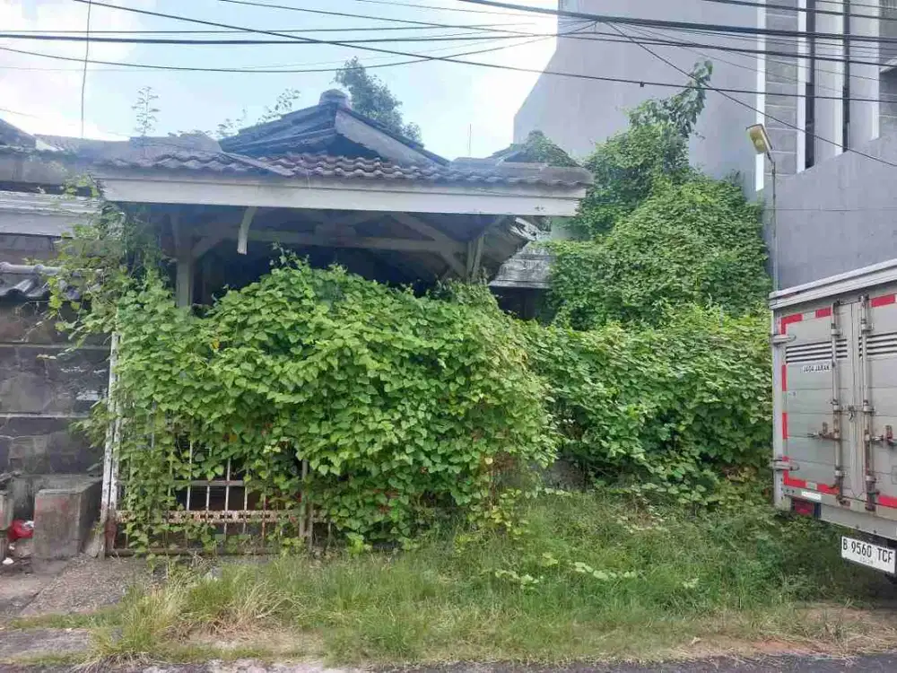 JUAL CEPAT RUMAH TUA TINGGAL TANAH KELAPA PUYUH
MURAH BANGET