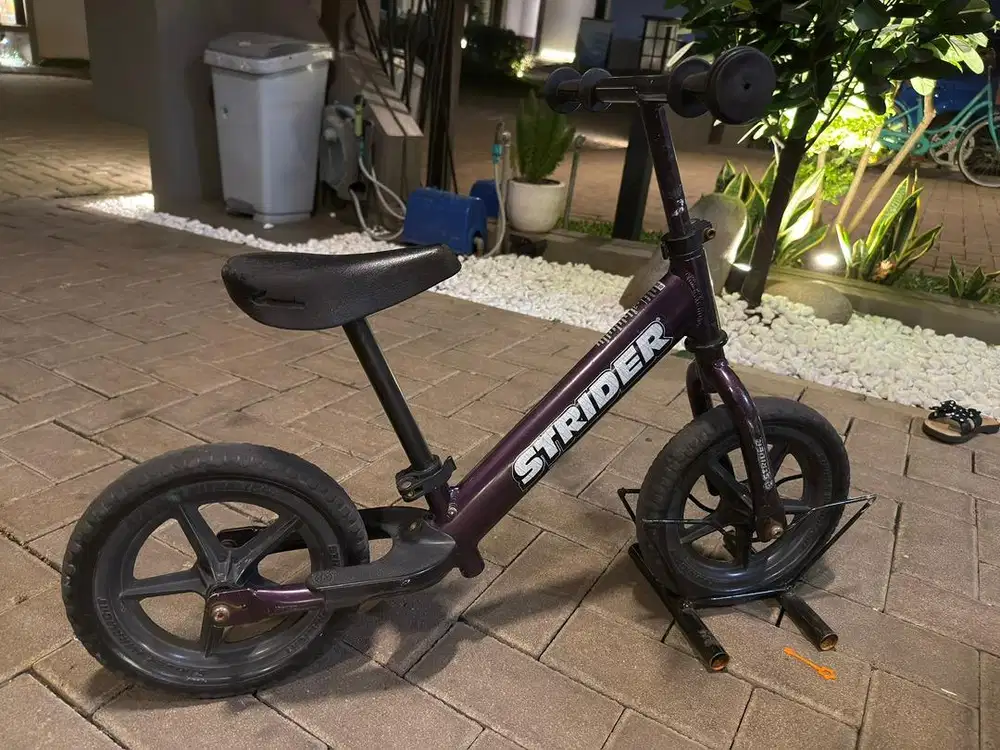 Strider 12 Pro (Limited Edition)