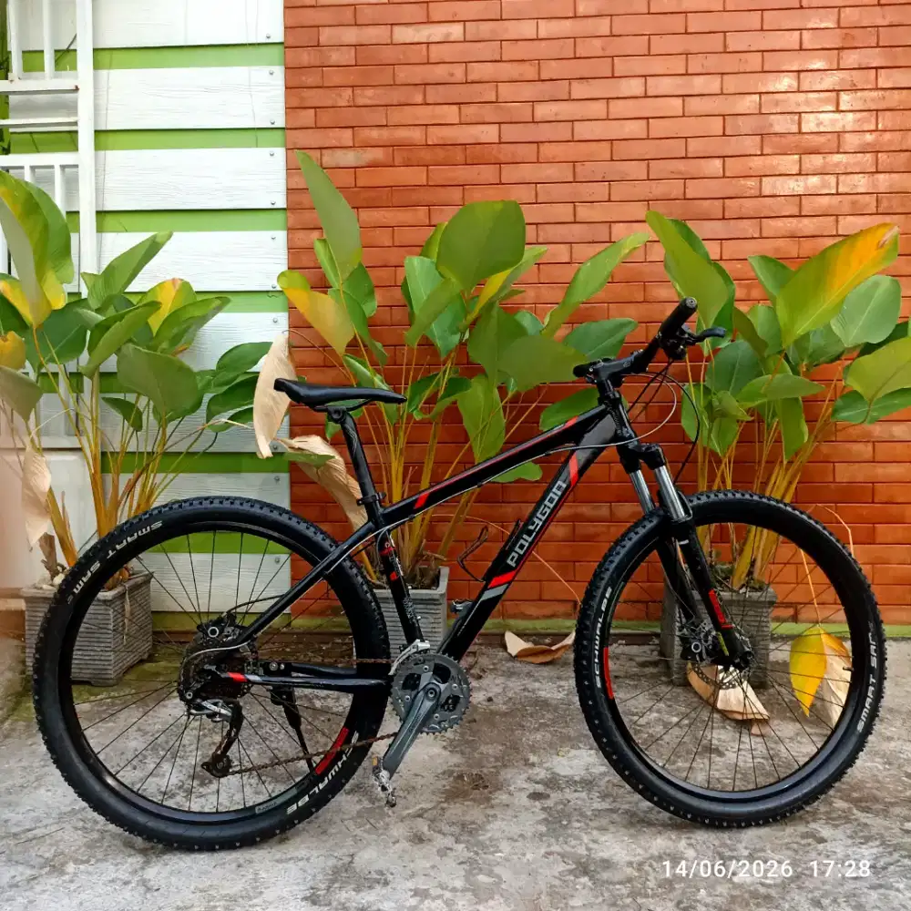 Polygon Xtrada 5 Groupset Alivio NO PR