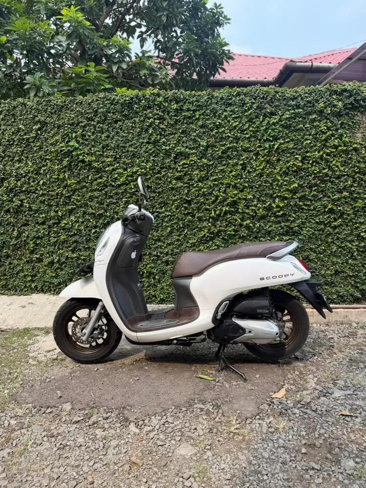 Honda Scoopy 2024