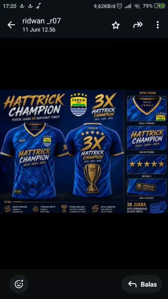Kaos olahraga costum persib