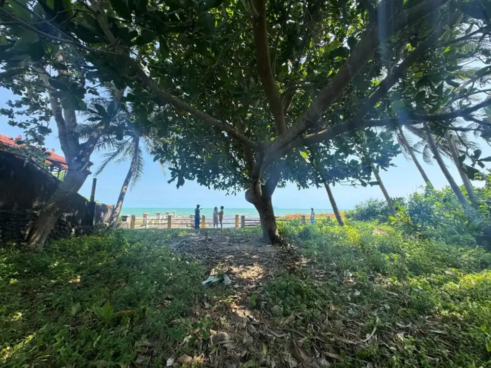 Di jual cepat tanah sendiri tanpa perantara..cocok buat usaha