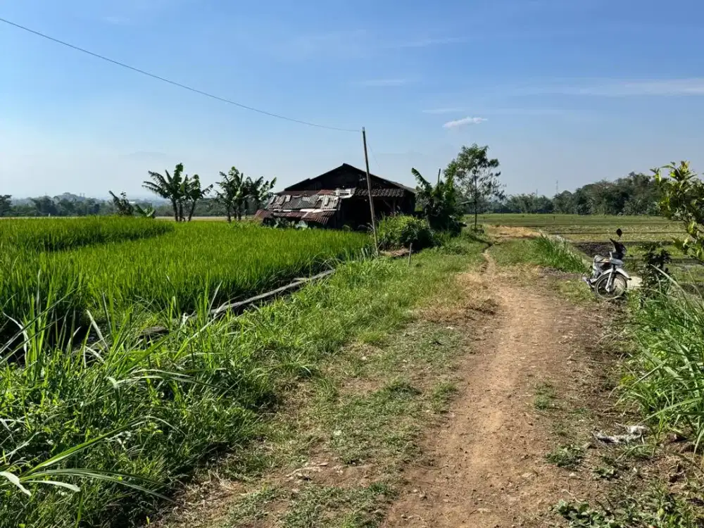Tanah 3.480 m² Singosari Malang – Cocok Untuk Kos, Kontrakan & Green House