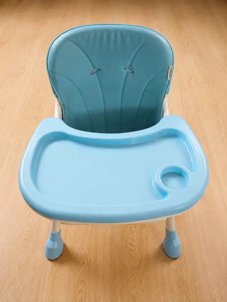 Jual Kursi Makan Bayi Babydoes