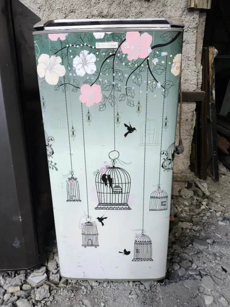 kulkas 1 pintu Electrolux
