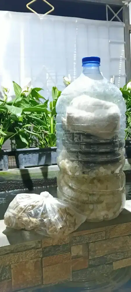 Media Filter Aquarium