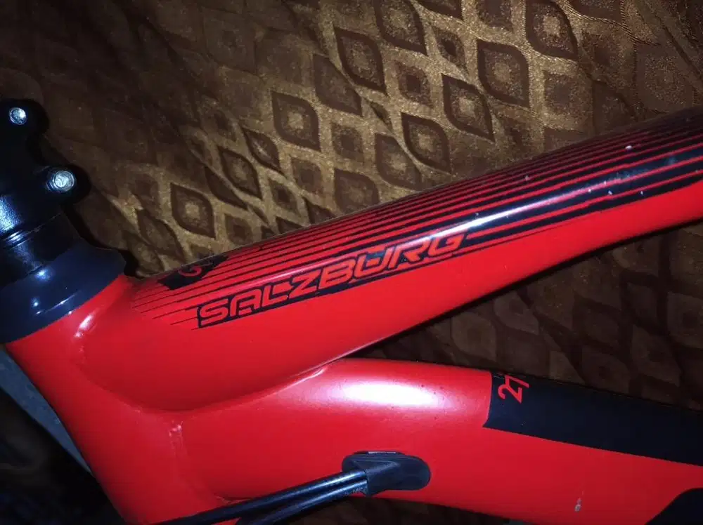 Jual sepeda mtb genio salzburg